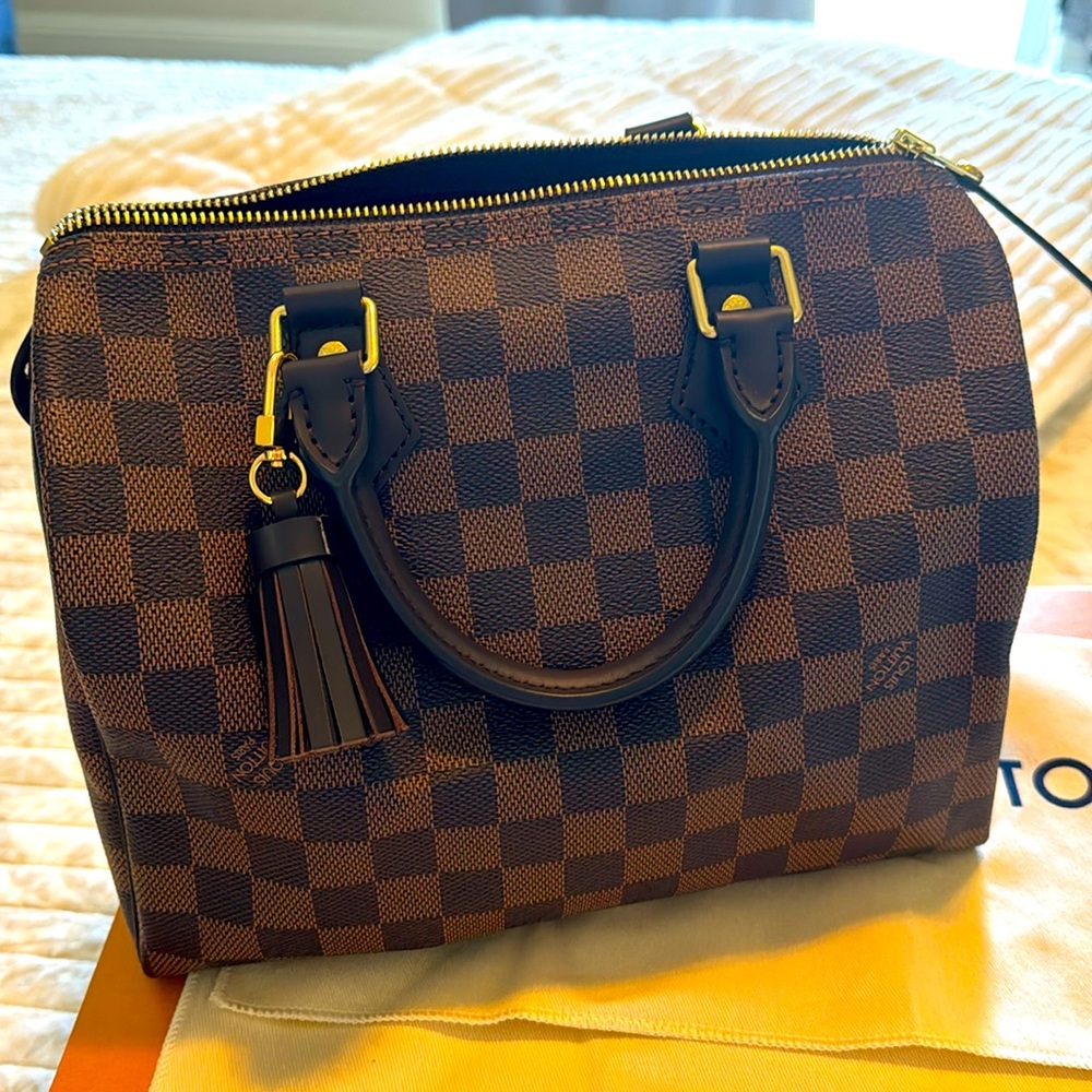 Louis Vuitton Speedy 25 Damier ebene